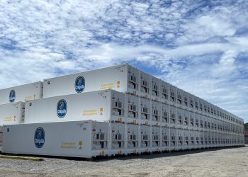 Chiquita and Daikin Reefer: A Flourishing Partnership