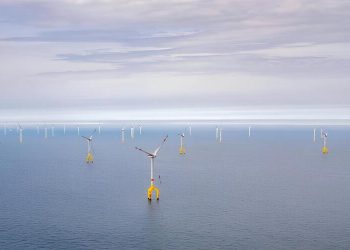 Cargill increases its renewable energy capacity by more than 40%