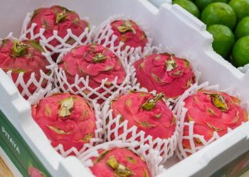 FarmFresh solutions gain momentum in exporting Brazilian produced pitaya 