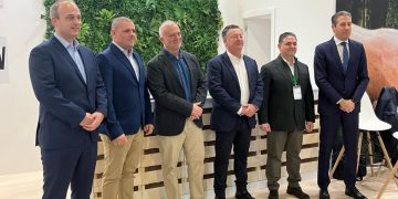 FEDEMCO leads the way in wooden packaging