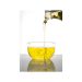 AAK partners with Checkerspot to develop new sustainable Algae Oil