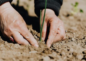 European food innovation coalition launches €30 million Portfolio to accelerate and scale regenerative agriculture