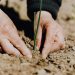 European food innovation coalition launches €30 million Portfolio to accelerate and scale regenerative agriculture