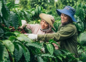 Nestlé reduces its greenhouse gas emissions in 2023 and delivers significant progress against its net zero ambition