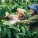 Nestlé reduces its greenhouse gas emissions in 2023 and delivers significant progress against its net zero ambition
