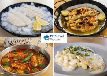 EFISHient ProteinUnveils First Prototype of Tilapia Fish Fillet Suitable for Sustainable Commercial Production