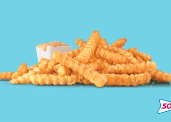 New fries coming to SONIC