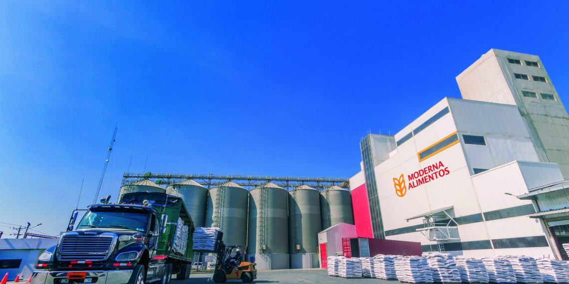 Flour industry shows its commitment on World Flour Day 2024