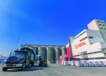 Flour industry shows its commitment on World Flour Day 2024
