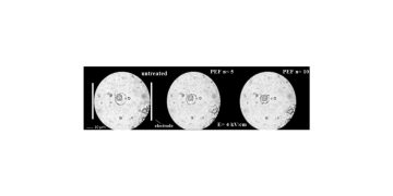 Physical field technologies to improve extraction and quality of extracted juices