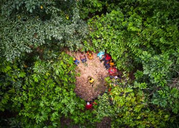 ofi cocoa shares how transparency and traceability are driving sustainability impact for food & beverage sector