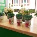 Yeni Activia Probiyotikli Shake Lansmanına Özel “Bağırsakta İyilik Hareketi Müzesi” Açıldı!