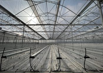 Agro Termal, 1 milyon metrekarelik hedefine hızla ilerliyor