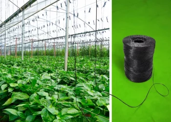 BASF Introduces Industrial Compostable ecovio® T 2206 for Greenhouse Twines, Advancing Sustainable Agriculture