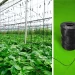 BASF Introduces Industrial Compostable ecovio® T 2206 for Greenhouse Twines, Advancing Sustainable Agriculture