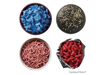 Savory foods don’t have to play it safe – beyond orange and yellow lies a world of color