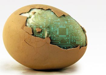 Use of AI should be declared on food and beverage labels, say consumers