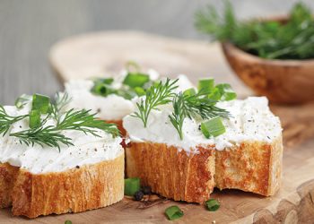 Gavan secures USD8M to commercialize cutting-edge plant-based fat