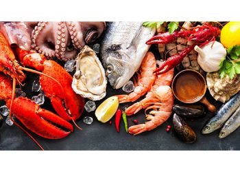 SGS Launches FSMA 204 Food Traceability Solutions