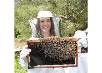 BEE&YOU sözleşmeli arıcılık modeliyle Türkiye’den dünyaya açılıyor