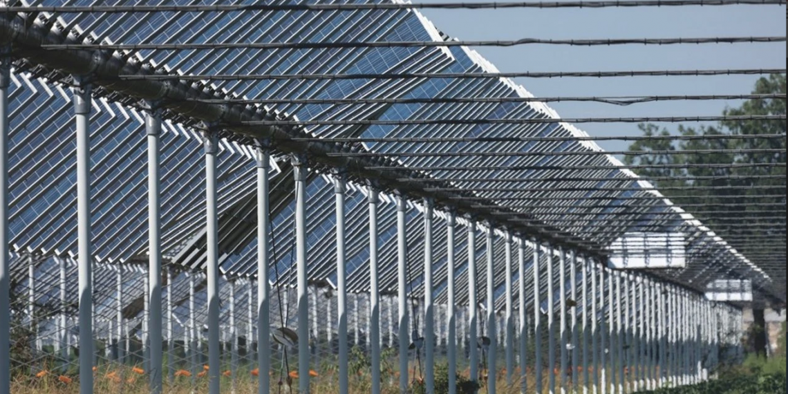 İklim değişikliğinin tarıma etkisi Güneş Enerjisi’yle azalacak