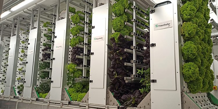 Fraunhofer Institutes launch FutureProteins Project to develop climate-independent protein production systems