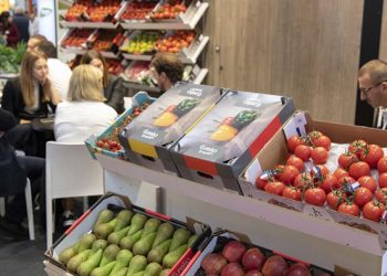 Fruit Attraction 2025 grows by 5% and expects to bring together more than 2,500 companies and 120,000 professionals