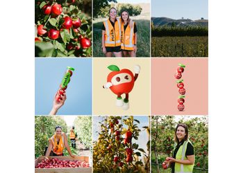 Rockit ready to launch strong 2025 season