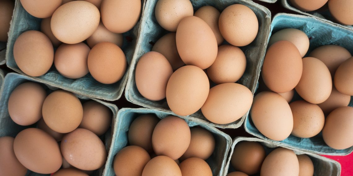 DFİF kesintisi kalktı, yumurta ihracatçısı rahatladı