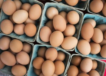 DFİF kesintisi kalktı, yumurta ihracatçısı rahatladı