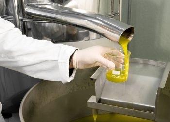 Nutriswiss oil mill obtains organic certification Flexible capacities for processing Swiss-grown and imported organic oilseeds