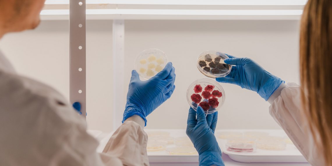 Novella and Metaphor Foods Unite to Commercialize Cell-Based Natural Preservatives