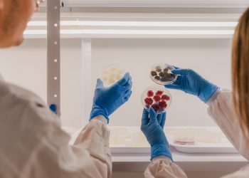 Novella and Metaphor Foods Unite to Commercialize Cell-Based Natural Preservatives