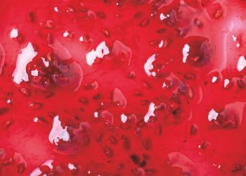 Jungbunzlauer Launches New TayaGel® LA at IFT First 2025, strengthening its texturants portfolio