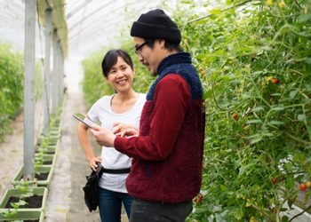 IFT and Seeding The Future Foundation Announce Growth Grant and Grand Prize Winners of USD $1 Million Food Innovation Challenge