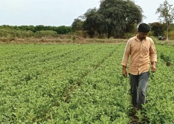 Gonmisol and K. Patel Join Forces to Bring Ayurvedic Wellness to Europe