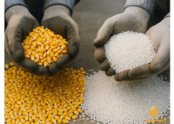 Corn Next Secures First Investment and Announces IDU Location in Los Angeles