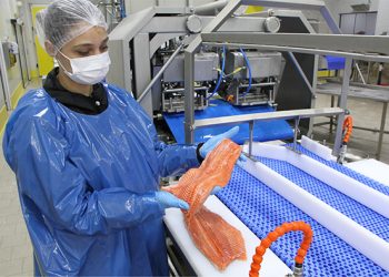 Türkiye’s Aquaculture Industry Makes Waves in Global Markets with Turkish Salmon Surge