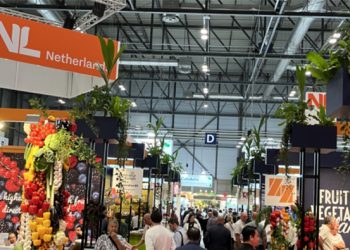 The Netherlands, high quality fruit and vegetables