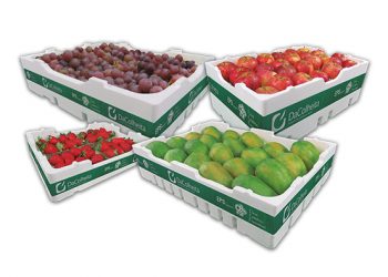 Termotécnica Showcases Innovative DaColheita Packaging Solutions at The Brazil Conference & Expo 2025