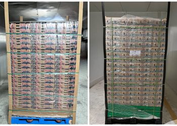 StePacPPC’s Pallet Shrouds Preserve Produce Freshness All the Way to Retail