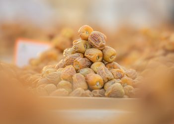 Unaizah to Host Second International Dates Forum: A Global Hub for Date Industry Innovation