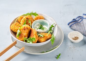 Gulfood Manufacturing 2025: Hydrosol Offering Trend-Forward Solutions for Meat Snacks, Soft-Serve Ice Cream, and Vegetable Fat Cream