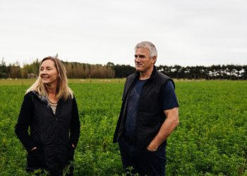 Leaft Foods partners with Lacto Japan to introduce revolutionary leaf rubisco protein to Japanese market