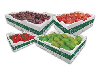 Termotécnica Highlights Advances in Agribusiness in its 8th Sustainability Report with Circular and Low-Carbon Packaging Solutions