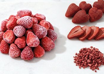 Introducing MAFI: Crafting the Future of Agri-Food Excellence