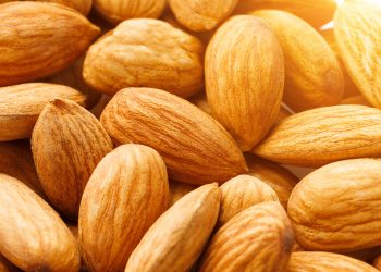 INC Launches Sustainability Certification Specifically for the Nut and Dried Fruit Industry