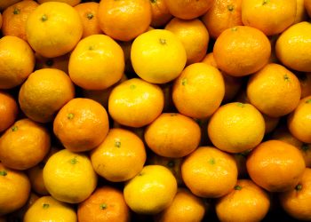 Mandalinada ihracat hedefi 500 milyon dolar, satsuma mandalinada 125 milyon dolar