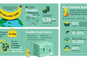Mondi develops lighter, more sustainable banana box through customer collaboration