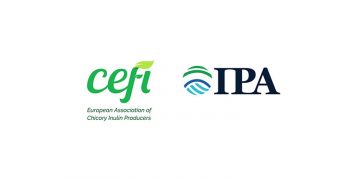 The European Association of Chicory Inulin Producers (CEFI) joins the International Probiotic Association (IPA)